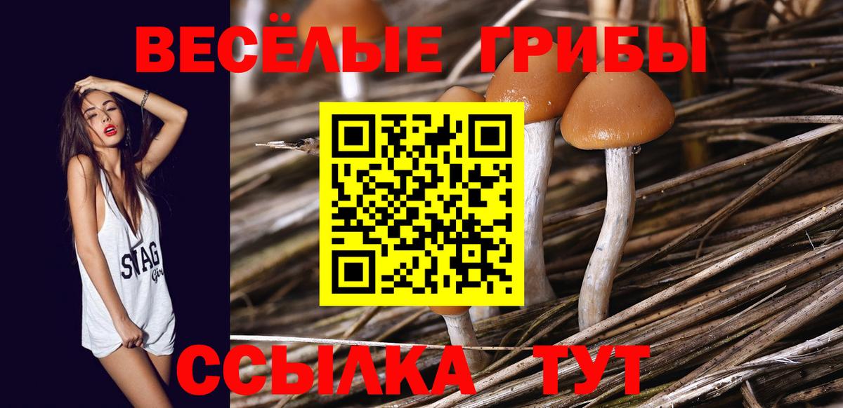 Псилоцибиновые грибы GOLDEN TEACHER Строитель
