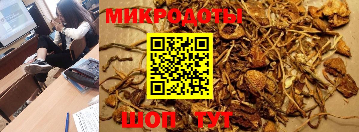 Строитель  Галлюциногенные грибы Psilocybine cubensis  купить наркотики цена  Вход с VPN 