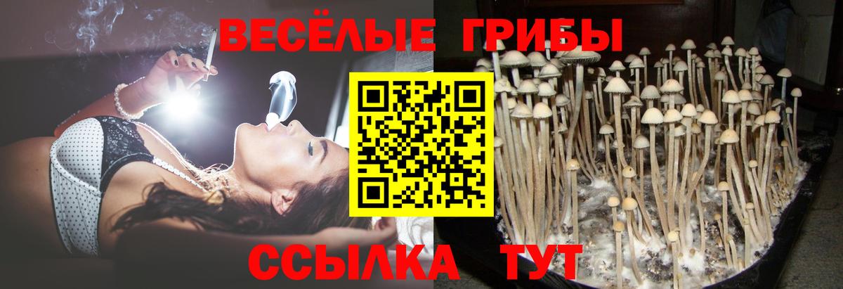 Сколько стоит  Марихуана  Строитель  Cocaine  Гашиш  Мефедрон   Вход с VPN 